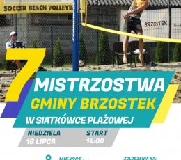 VII Mistrzostwa Gminy Brzostek w...