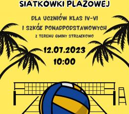 Młodzieżowy Turniej Siatkówki...