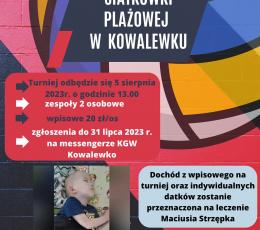 Charytatywny Turniej Siatkówki...