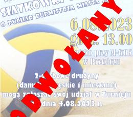 Wakacyjny Turniej Siatkówki Plażowej...