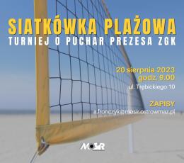 Turniej Siatkówki Plażowej puchar...