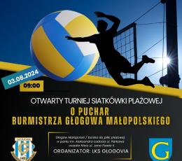 Otwarty Turniej Siatkówki Plażowej o...