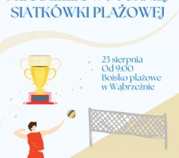 VIII Młodzieżowy Turniej Siatkówki...