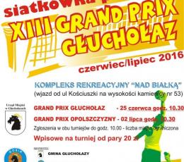 Grand Prix Opolszczyzny