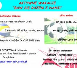 MIstrzostwa Gminy Dolsk