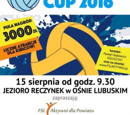 Reczynek CUP 2016