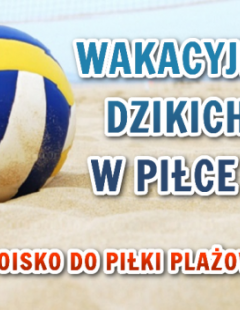 Wakacyjny Turniej Dzikich Drużyn w Piłce Plażowej