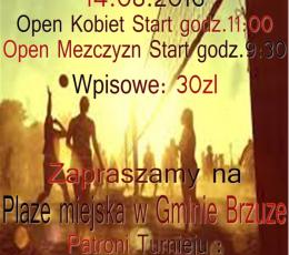 Turniej o Puchar Wójta Gminy Brzuze...