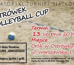 Ostrówek Volleyball Cup