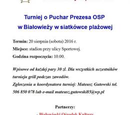 Puchar Prezesa OSP w Białowieży w...