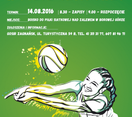 Turniej mixtów open w siatkówce...