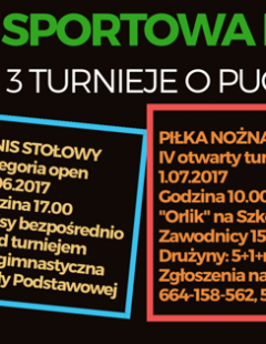 Sportowa Ekołomyja