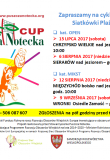 Puszcza Notecka Cup - Kategoria Open