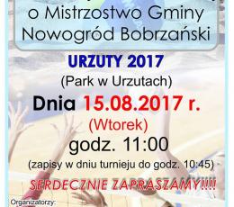 Otwarty Turniej o Mistrzostwo Gminy w...