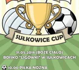 10. edycja Sułkowice Cup