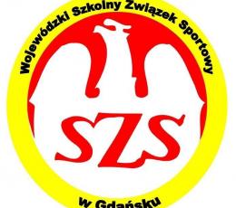 Finał Wojewódzki IMS w siatkówce...