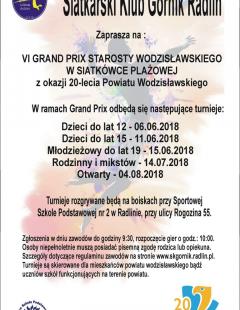 VI Grand Prix Starosty Wodzisławskiego - rodzinny i mikstów