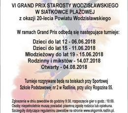 VI Grand Prix Starosty Wodzisławskiego...