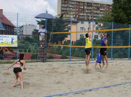 VI Grand Prix Starosty Wodzisławskiego - rodzinny i mikstów