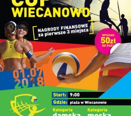 Volley cup Wiecanowo