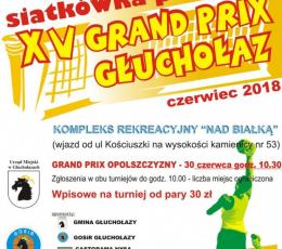 XV Grand Prix Opolszczyzny w siatkówce...