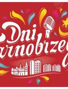 Turniej Piłki Plażowej z okazji Dni Tarnobrzega