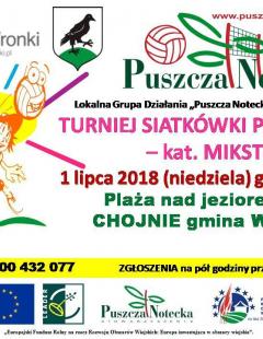 Turniej Siatkówki Plażowej w Chojnie