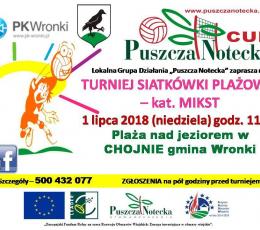 Turniej Siatkówki Plażowej w Chojnie