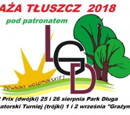 Grand Prix w Siatkówce Plażowej -...