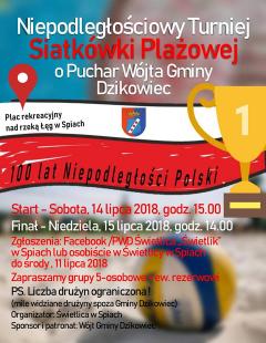 Niepodległościowy Turniej Siatkówki Plażowej