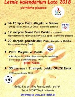 Letnia Liga Siatkówki