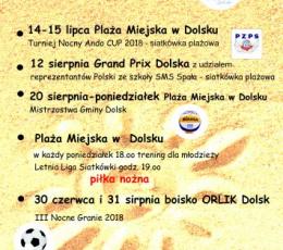 Letnia Liga Siatkówki