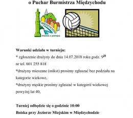 Turniej piłki siatkowej plażowej o...