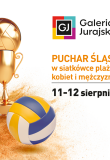 Puchar Śląska w Siatkówce Plażowej