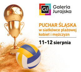 Puchar Śląska w Siatkówce Plażowej