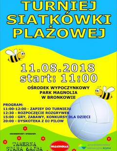 Turniej Siatkówki Plażowej