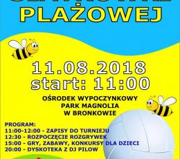 Turniej Siatkówki Plażowej