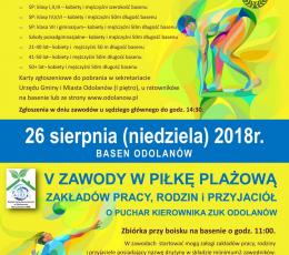 V Zawody w Piłkę Plażową o Puchar...