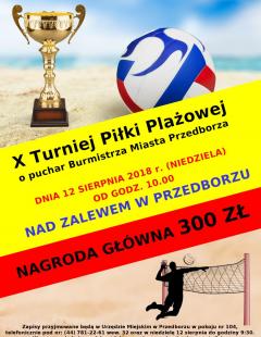 X Turniej Piłki Plażowej o Puchar Burmistrza Miasta Przedborza