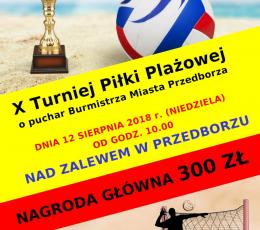 X Turniej Piłki Plażowej o Puchar...