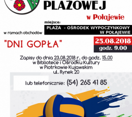 Turniej Siatkówki Plażowej - Dni...