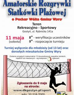 Amatorskie Rozgrywki Siatkówki Plażowej o Puchar Wójta Gminy Wyry