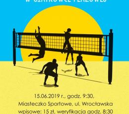 Mistrzostwa Bytomia w Siatkówce...