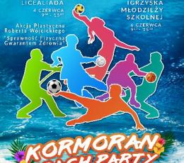 XIV Dolnośląski Festiwal Plażowych...