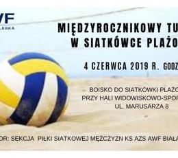 Międzyrocznikowy Turniej w Siatkówce...