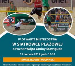IV Otwarte Mistrzostwa w Siatkówce...
