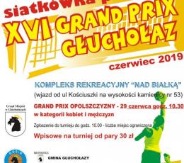 XVI Grand Prix Głuchołaz w Siatkówce...