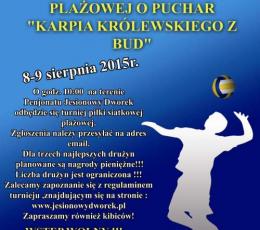 I Turniej Piłki Siatkowej Plażowej o...