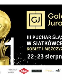 III Puchar Śląska Kobiet w Siatkówce Plażowej Częstochowa 2020
