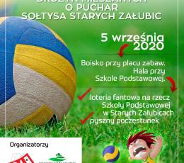 Turniej Siatkówki Plażowej o Puchar...